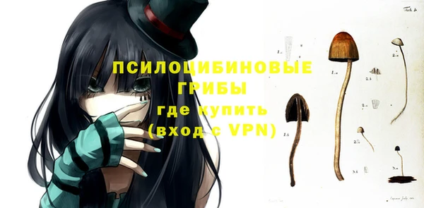 a pvp Белокуриха